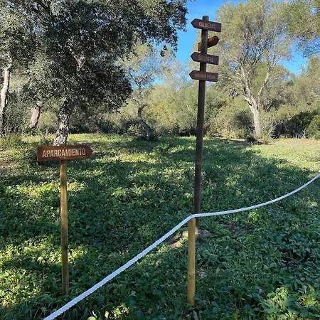Country house Murtales Alcala de los Gazules